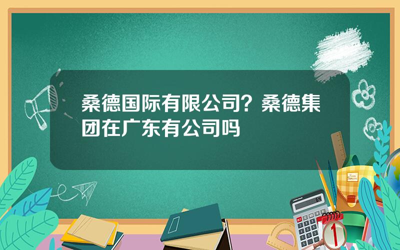 桑德国际有限公司？桑德集团在广东有公司吗