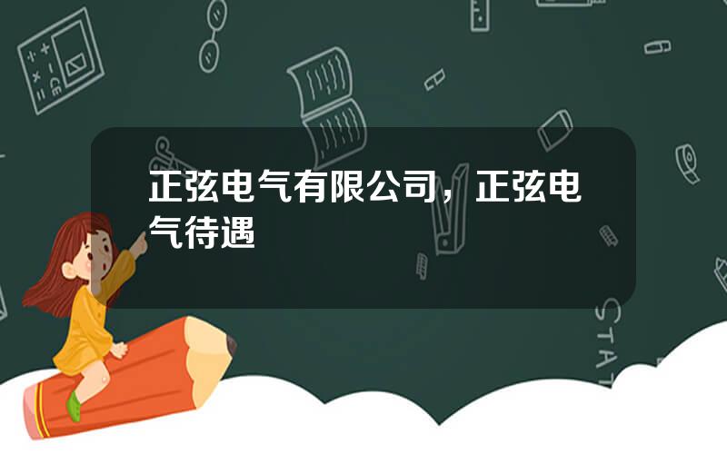 正弦电气有限公司，正弦电气待遇