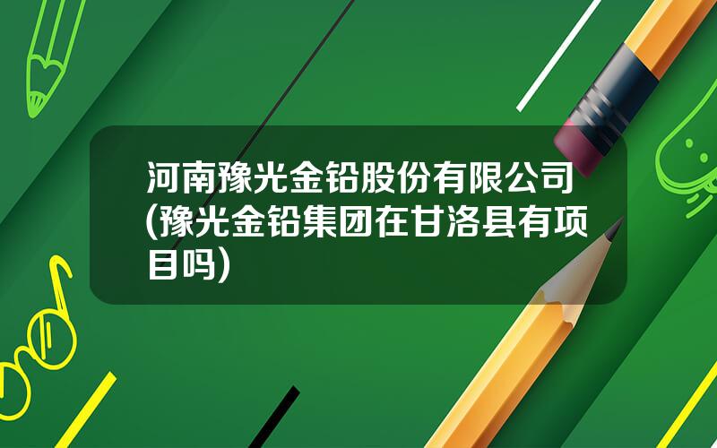 河南豫光金铅股份有限公司(豫光金铅集团在甘洛县有项目吗)