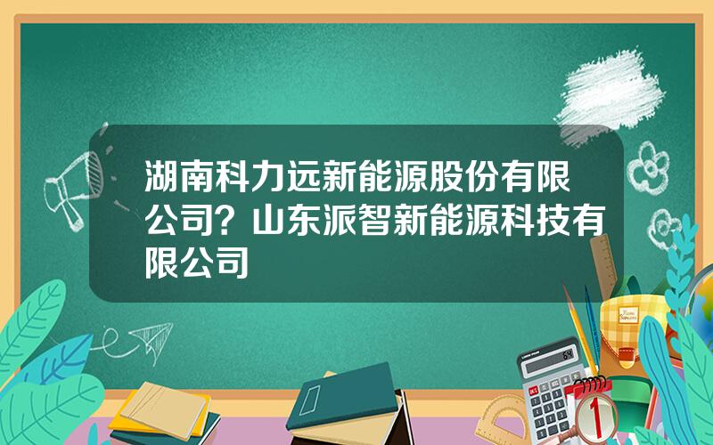 湖南科力远新能源股份有限公司？山东派智新能源科技有限公司