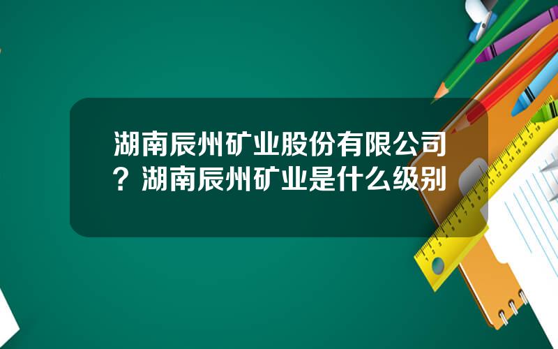 湖南辰州矿业股份有限公司？湖南辰州矿业是什么级别